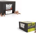 Nosler Ballistic Tip