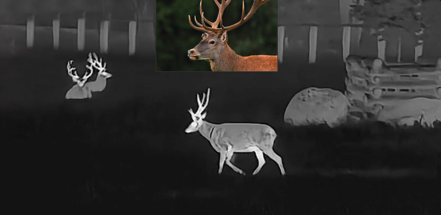 imgi_36_e30963746ef04bcfb435ccf794da867e