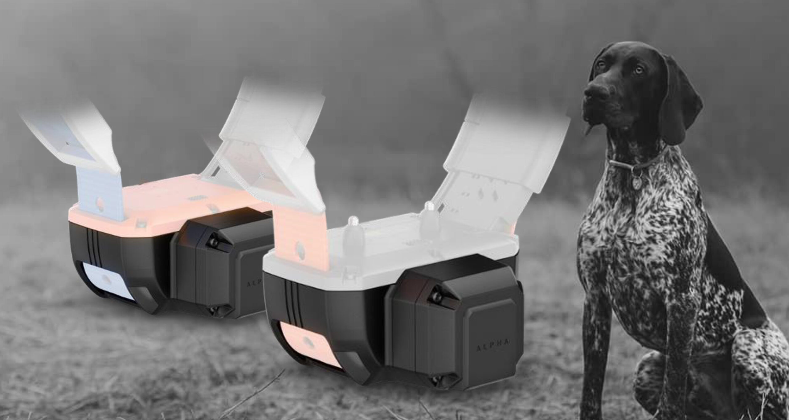 PowerPoint Presentation